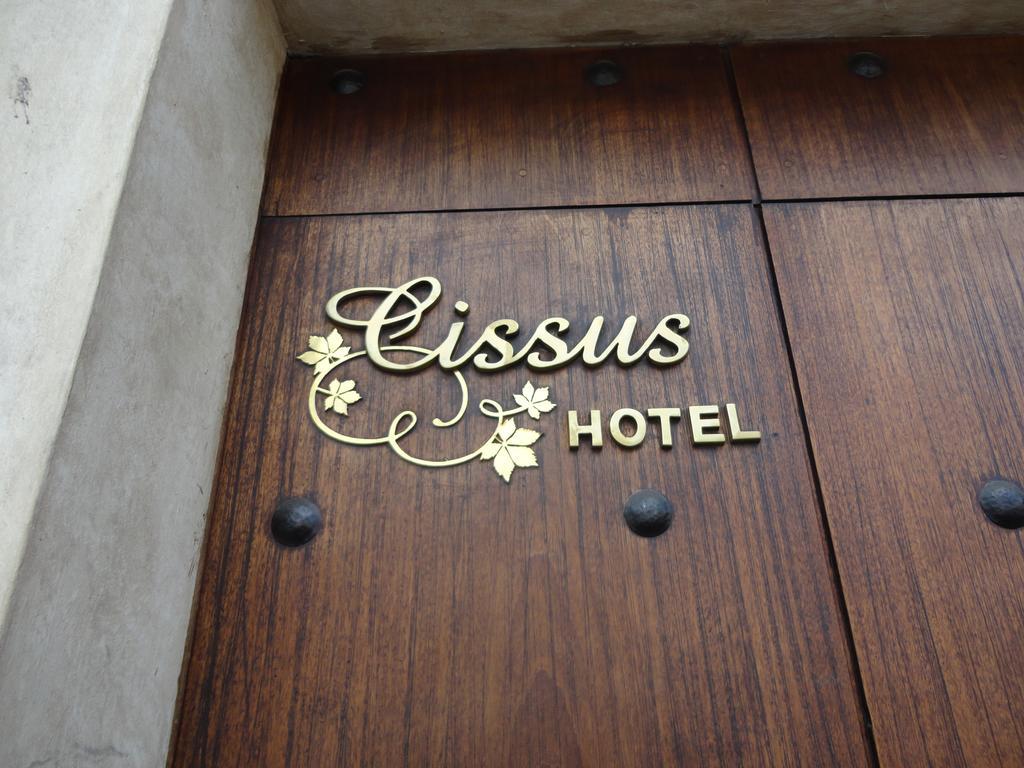 Cissus Hotel Boutique (Adults Only) Antigua Pokój zdjęcie