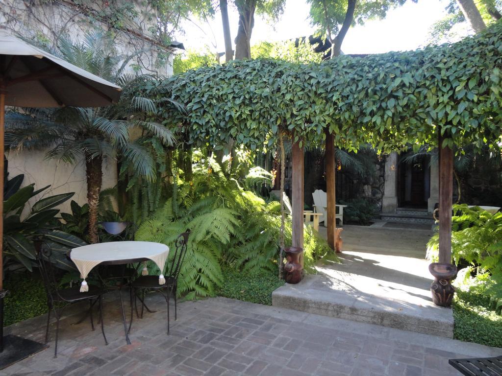 Cissus Hotel Boutique (Adults Only) Antigua Zewnętrze zdjęcie