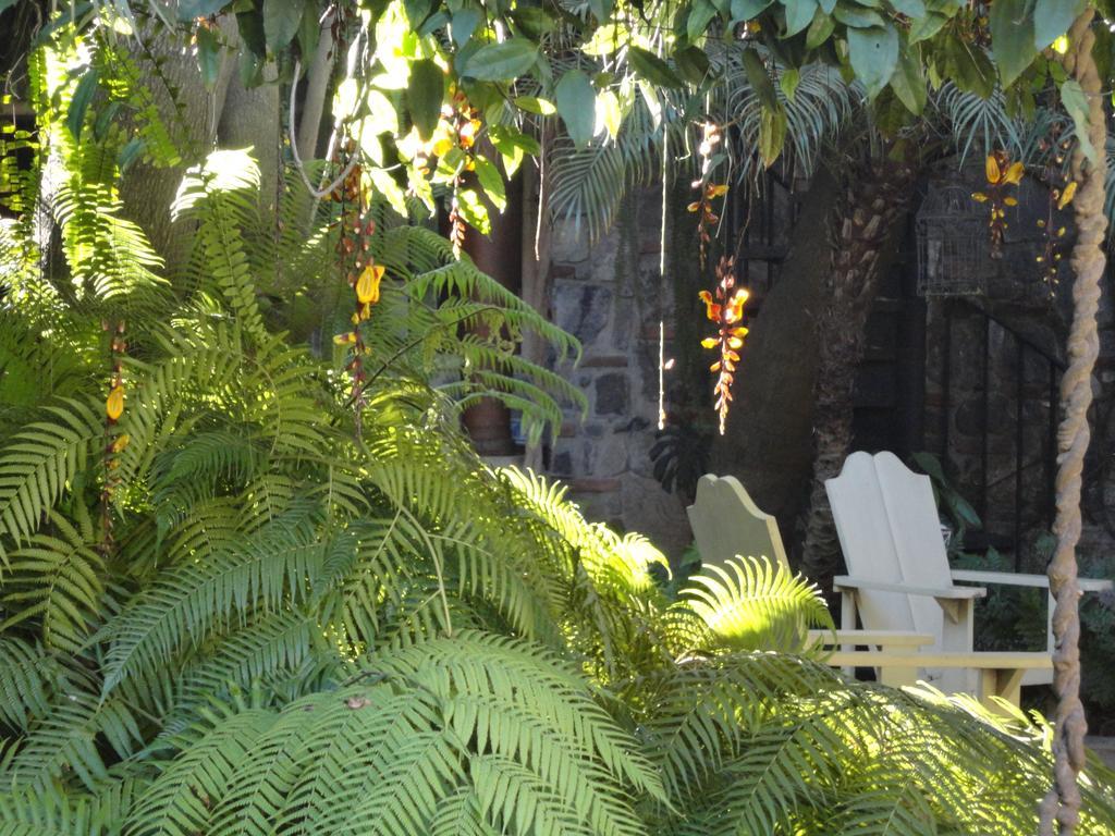 Cissus Hotel Boutique (Adults Only) Antigua Zewnętrze zdjęcie