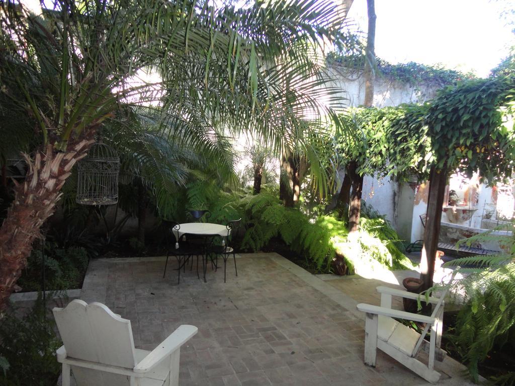 Cissus Hotel Boutique (Adults Only) Antigua Zewnętrze zdjęcie