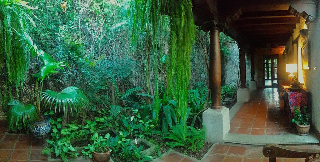Cissus Hotel Boutique (Adults Only) Antigua Zewnętrze zdjęcie