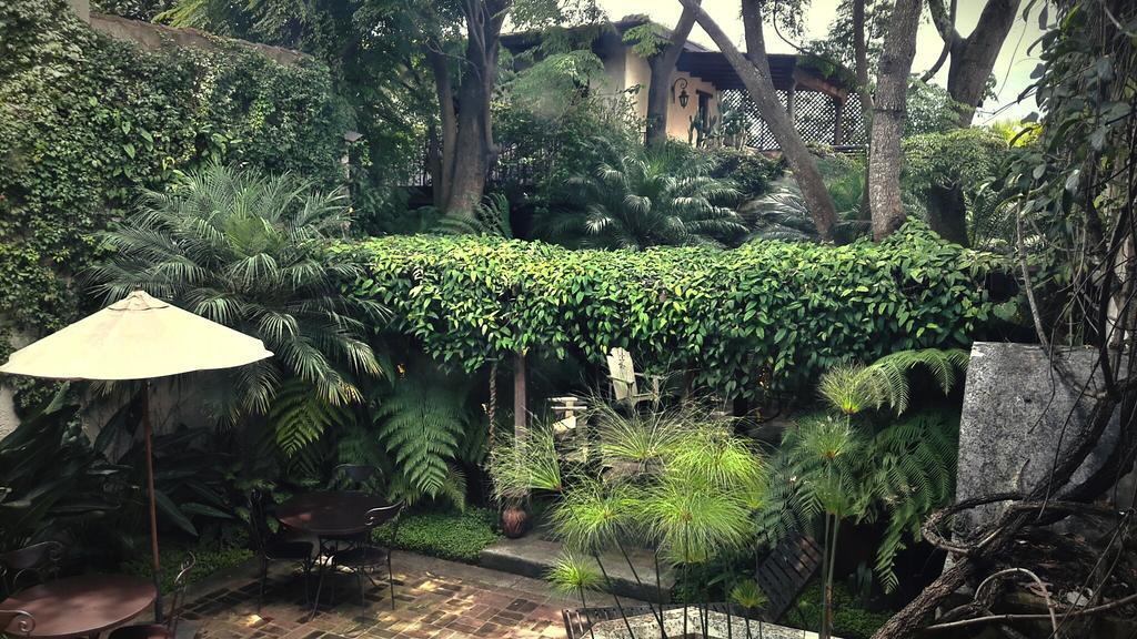 Cissus Hotel Boutique (Adults Only) Antigua Zewnętrze zdjęcie