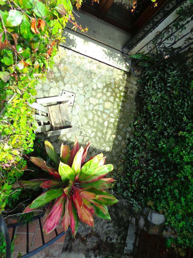 Cissus Hotel Boutique (Adults Only) Antigua Zewnętrze zdjęcie