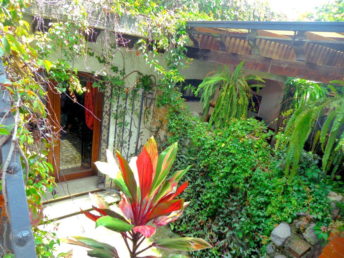 Cissus Hotel Boutique (Adults Only) Antigua Zewnętrze zdjęcie
