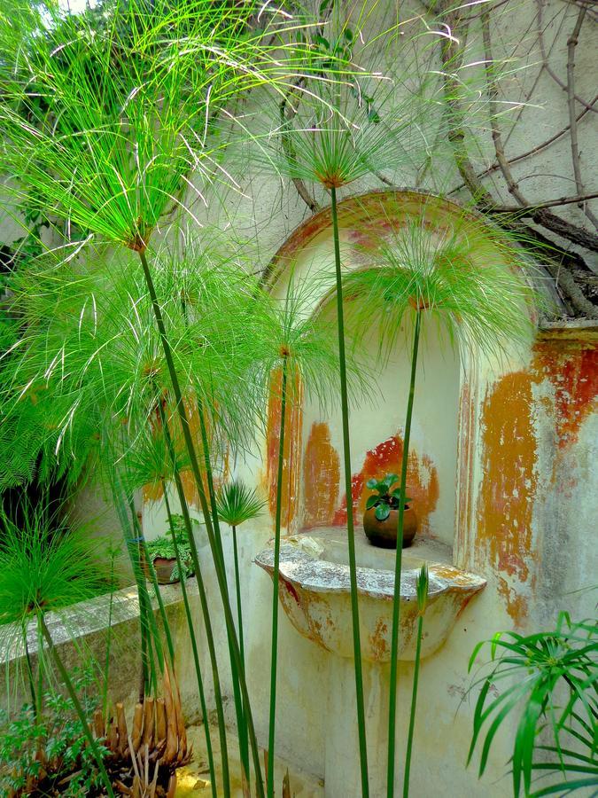 Cissus Hotel Boutique (Adults Only) Antigua Zewnętrze zdjęcie